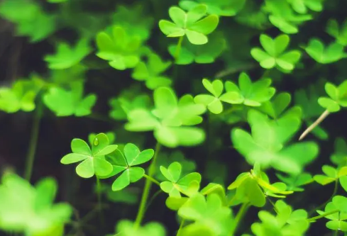 1702784134382117.png image.png