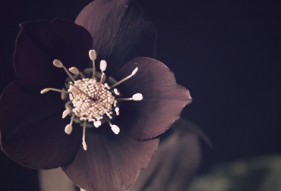 ​睡前岳飞小故事三篇