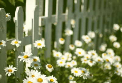 ​张万年将军十三次落泪的故事