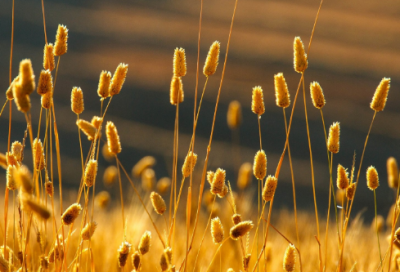 ​华为老总任正非的创业故事