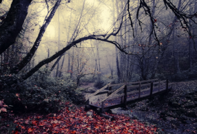 ​有教育意义的励志名人感人小故事