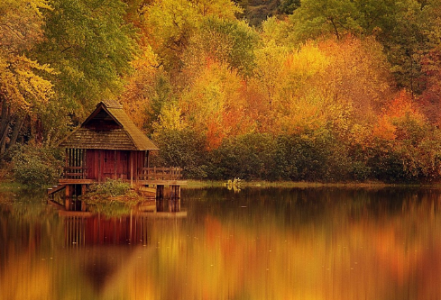 1702789446937057.png image.png