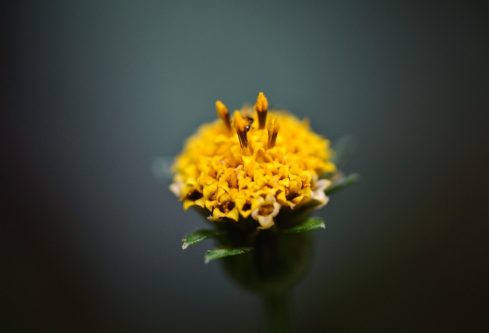 1702790774942612.png image.png