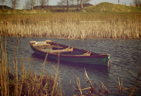 1702790940985500.png image.png