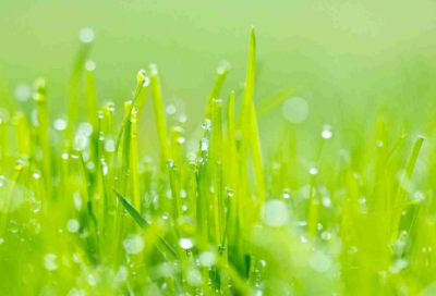 ​抗击疫情感人小故事精选三篇