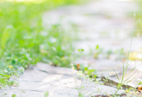 1702794757190627.png image.png