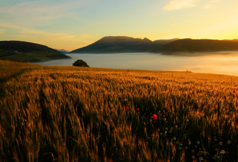 1702796084223816.png image.png