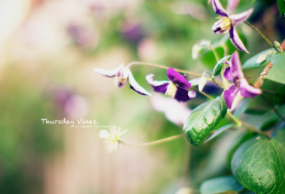 ​关于励志的名人故事10个