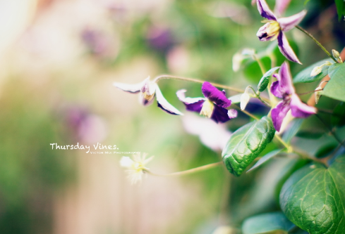 1702796747596809.png image.png