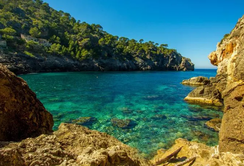 1702797909296081.png image.png