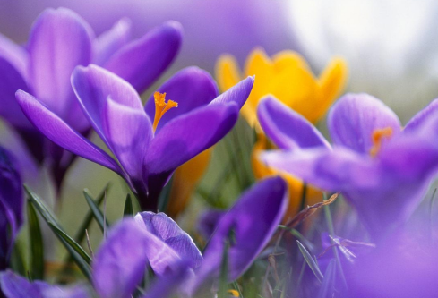 1702799071718590.png image.png