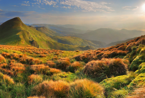 1702799569530106.png image.png