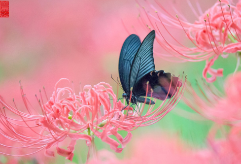 1702799734464959.png image.png