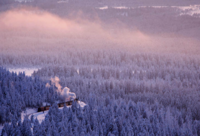 ​大学生创业简短的真实小故事