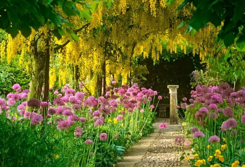 1702802389767543.png image.png