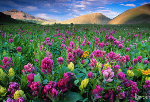 1702803053509126.png image.png