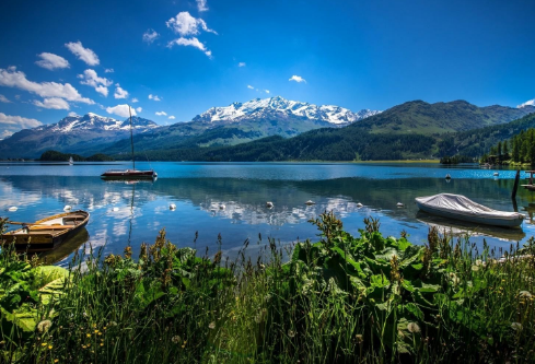 1702803385262217.png image.png