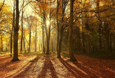 ​金石学家端方与毛公鼎的故事