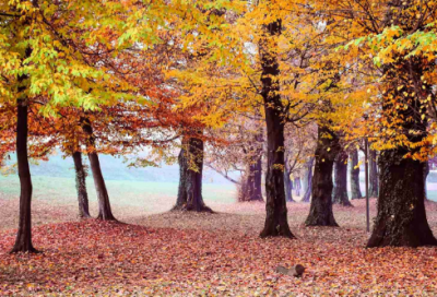 ​古代寓言故事精选四篇