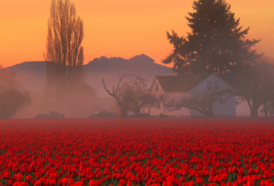 ​管宁是个怎样的人 管宁礼让的故事