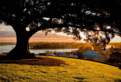 ​岳飞的故事5则