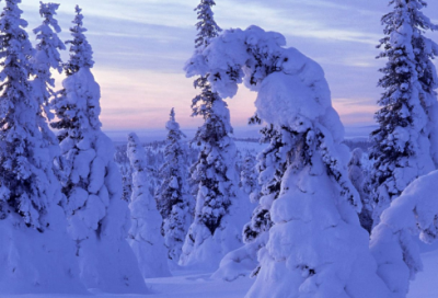 ​英雄杨根思的故事：与40余敌人同归于尽