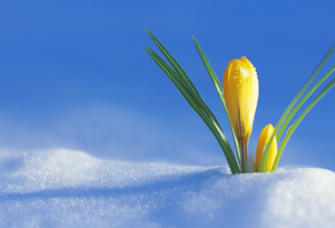 1702807201860093.png image.png