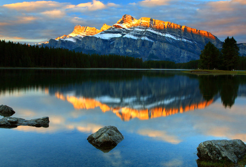 1702807368614451.png image.png