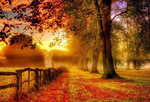 1702807700139440.png image.png