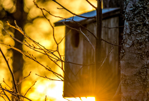 1702808530864972.png image.png