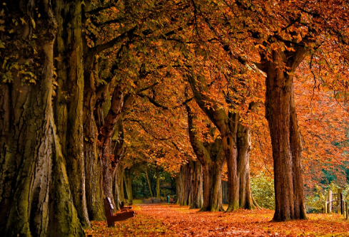 1702810688331606.png image.png