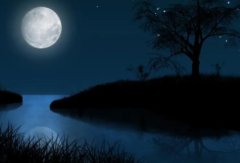 1702811351271353.png image.png