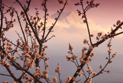 ​梁山好汉邹润的故事 邹润结局是什么