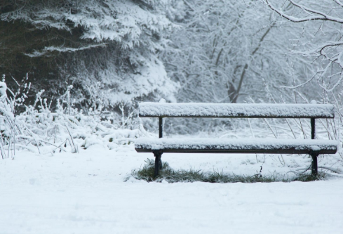 1702815501659985.png image.png