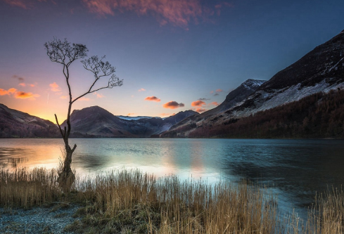 1702816828426119.png image.png