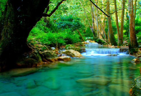 1702817160419293.png image.png