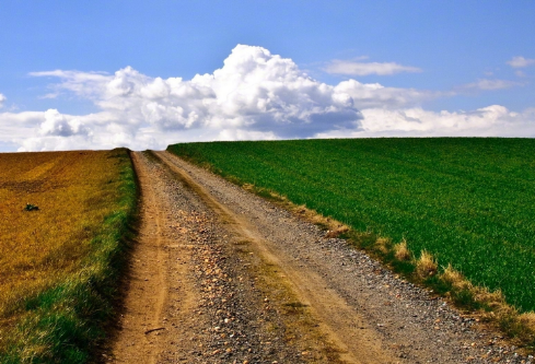 1702817658289472.png image.png