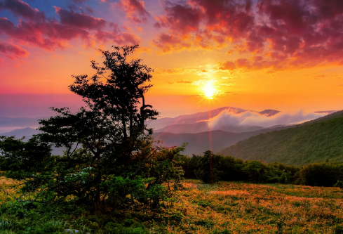 1702818155155026.png image.png