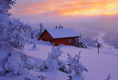 1702818487801878.png image.png