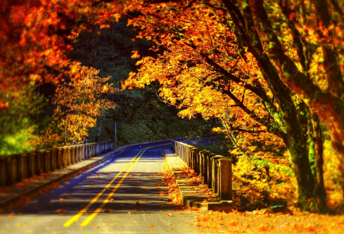 1702819649947967.png image.png