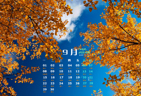 1702819815544472.png image.png