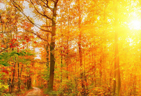 1702820644953313.png image.png