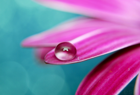 1702821970879002.png image.png