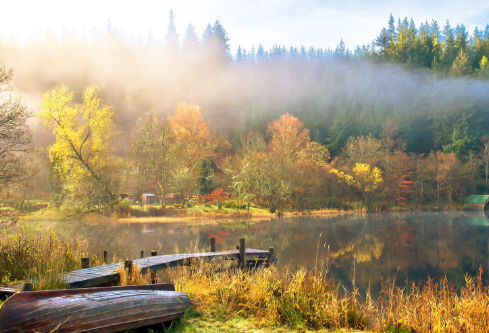 1702822136984716.png image.png