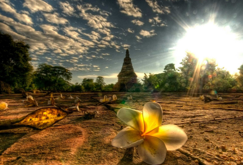 1702822468784461.png image.png