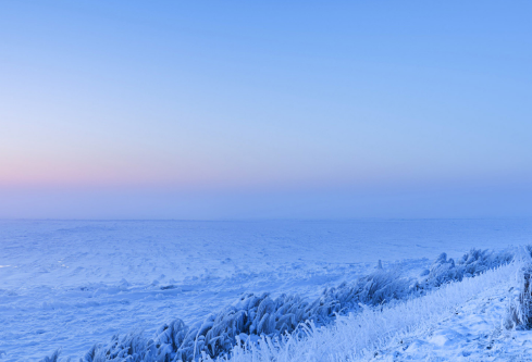 1702822800236326.png image.png