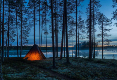 ​元代大画家王冕的故事揭秘