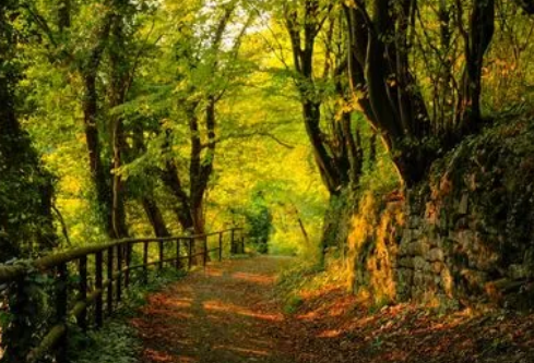 1702823463193548.png image.png