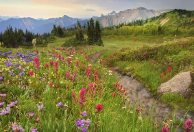 ​破釜沉舟的故事介绍 破釜沉舟的主人公是谁