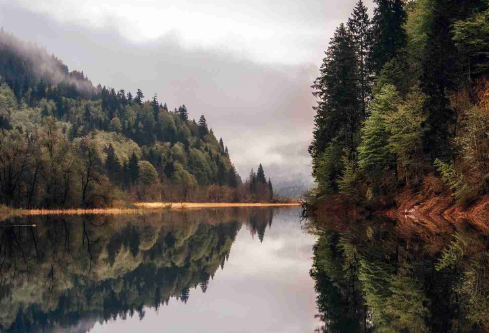 1702824458549021.png image.png